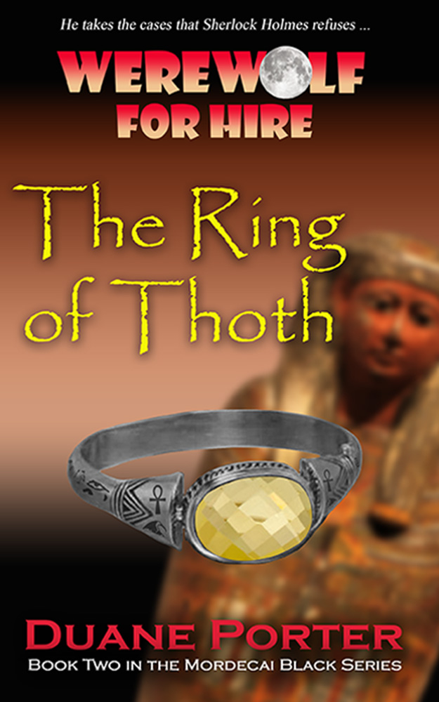 RING kindle cover for Amazon